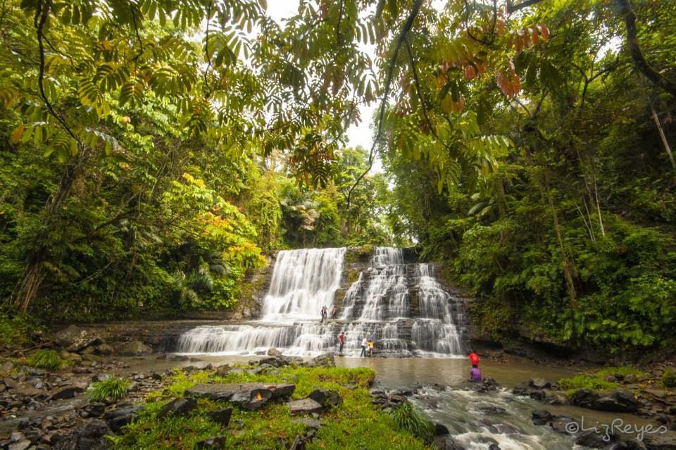 Merloquet Falls amid the lush green forest
