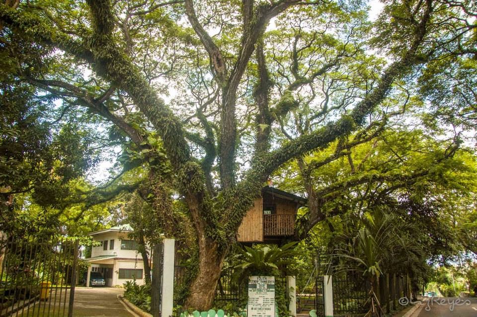  Pasonanca Park tree house