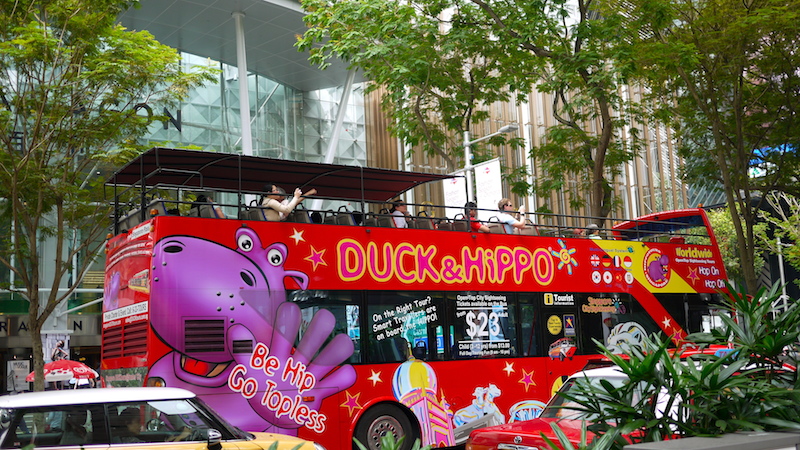 duck and hippo tour