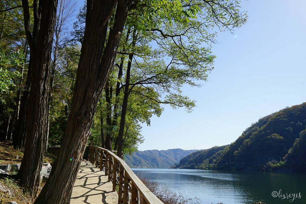 Nami Island, South Korea