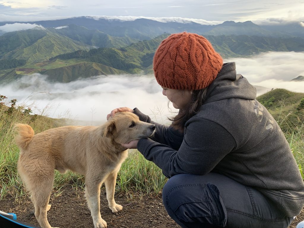 Dog at Panimahawa Ridge