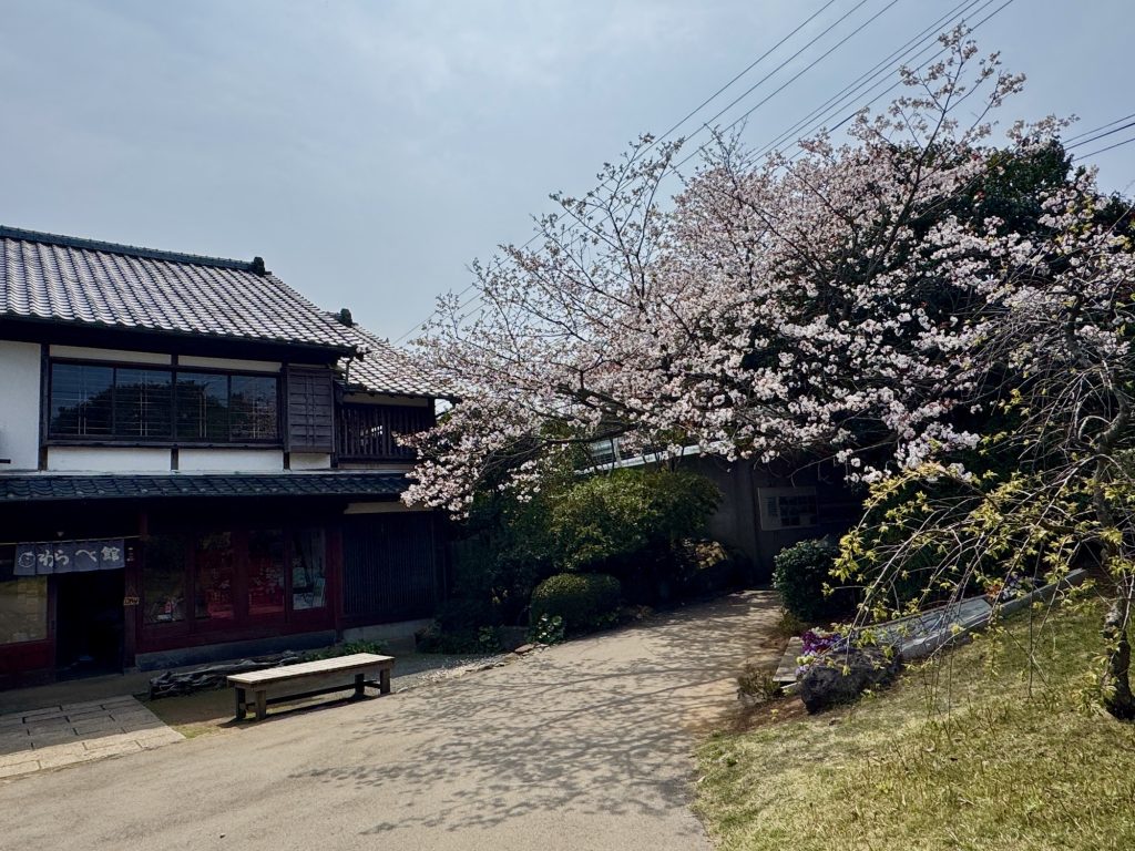 Nokonoshima Island