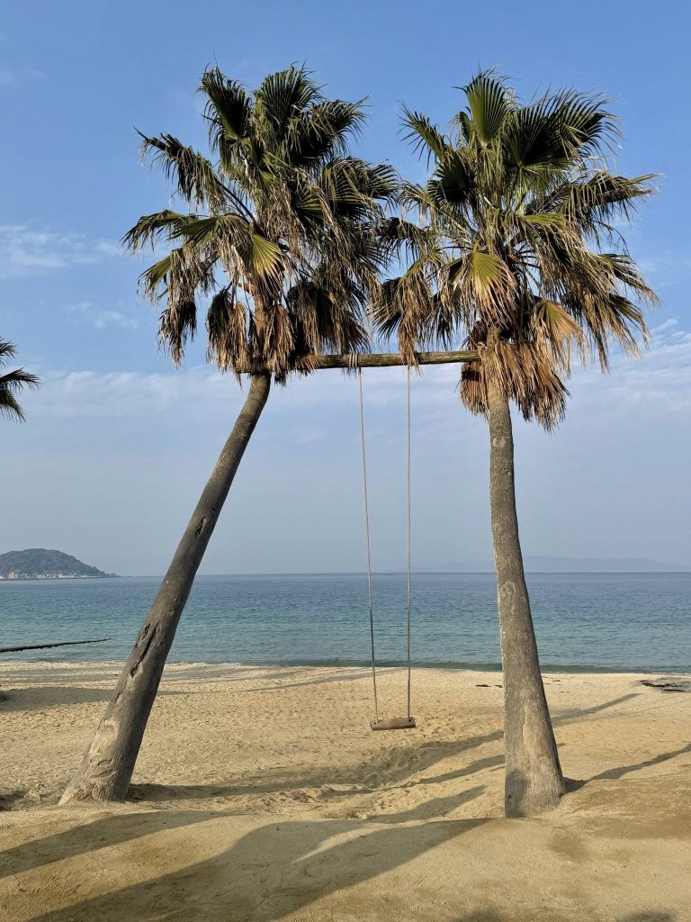 Palm Tree Swing in Itoshima