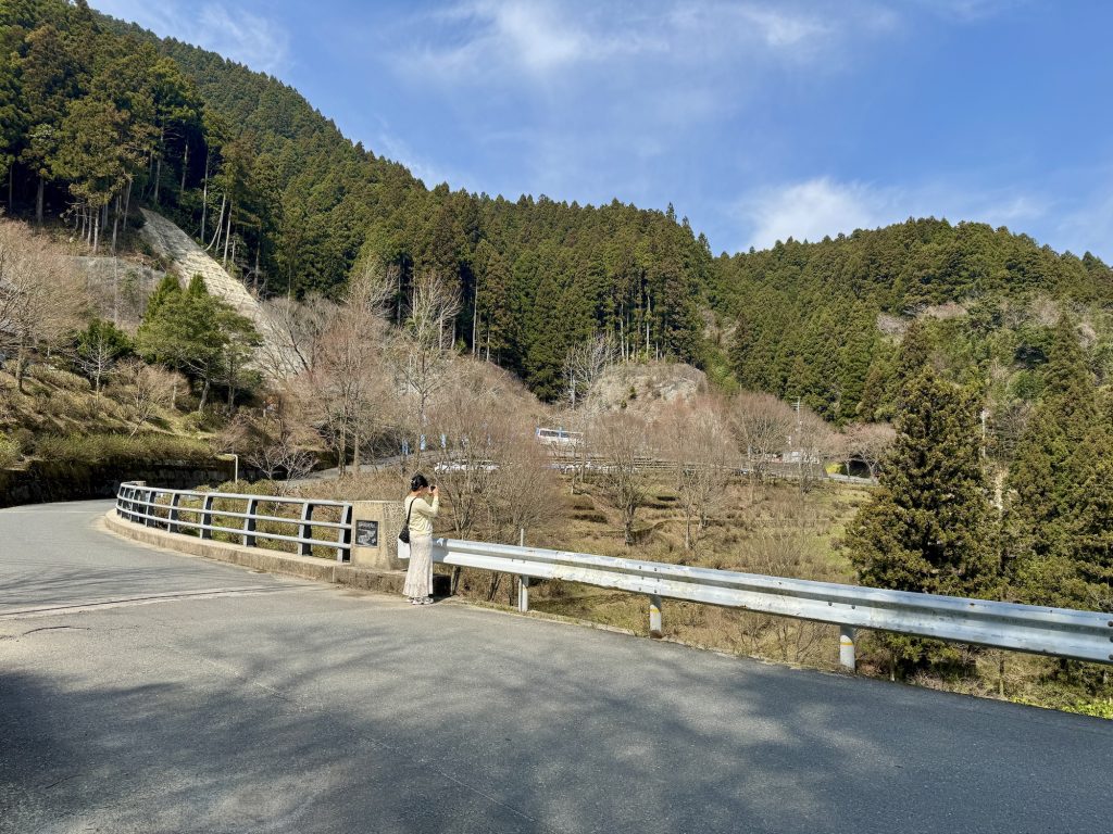Shiraito