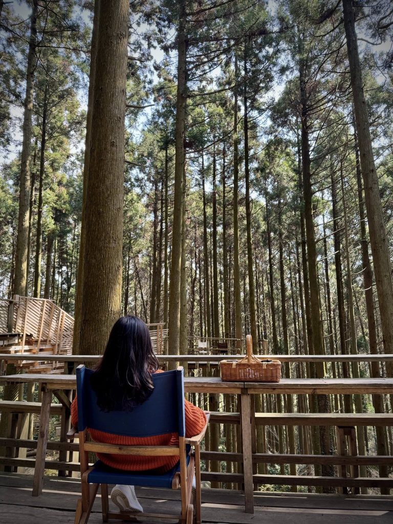 Forest Cafe Midori No Oto