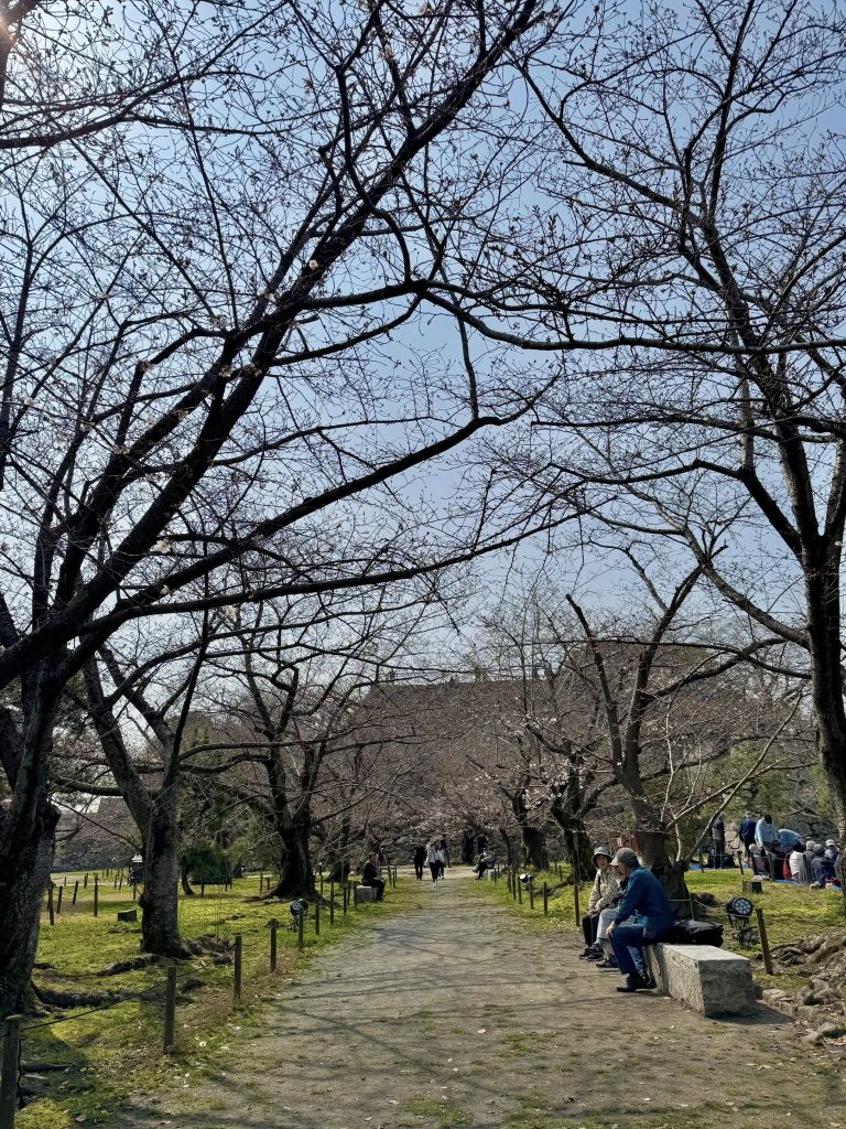 Maizuru Park