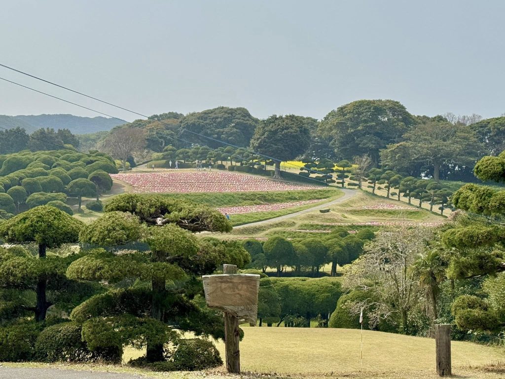Nokonoshima Island Park