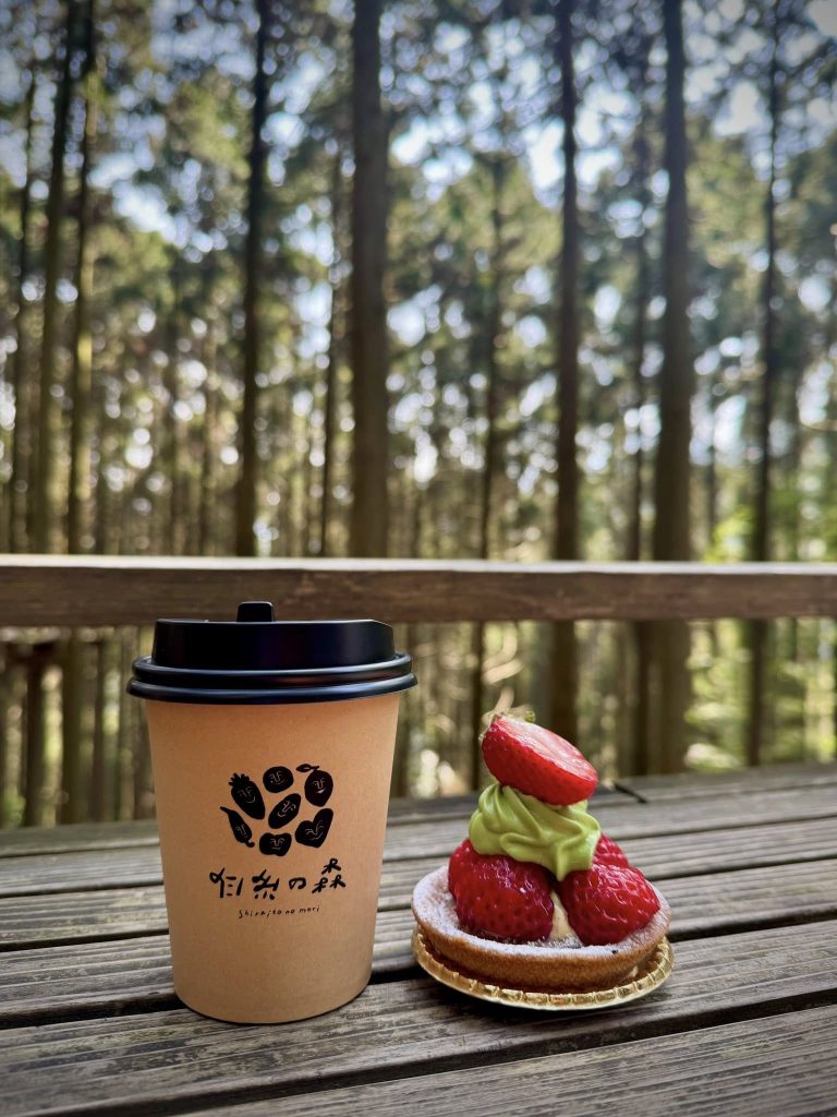 Forest Cafe Midori No Oto