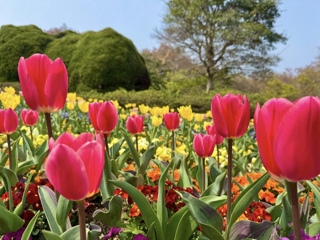 Nokonoshima Island Park